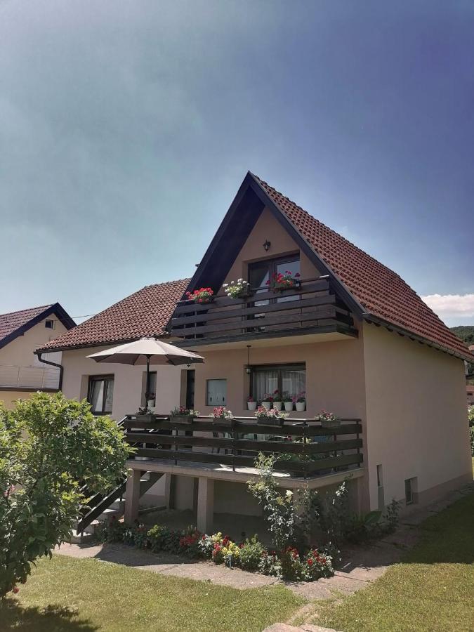 Putnicka Kuca Kod Dragane Hotel Bajina Basta Exterior photo