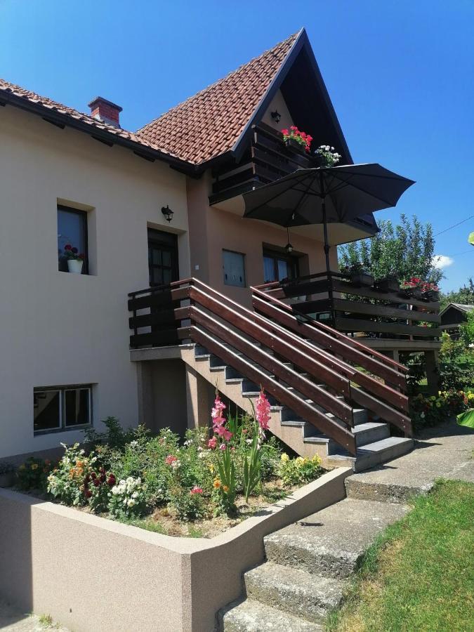 Putnicka Kuca Kod Dragane Hotel Bajina Basta Exterior photo